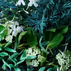 Molton Brown Körperpflege·Body Lotion|