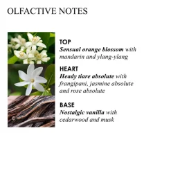 Molton Brown Handpflege·Handreinigung|