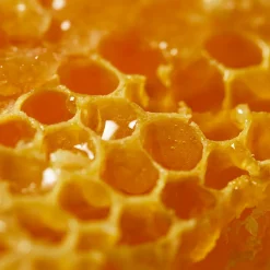 NUXE Reinigung·Body Peeling|