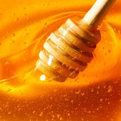 NUXE Sets·Gesichtspflege Set|