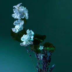 Penhaligon's London Düfte|