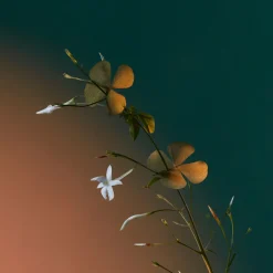 Penhaligon's London Düfte|