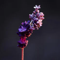 Rabanne Deodorants·Deo Stick|