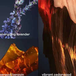 Rabanne Düfte·Parfum|