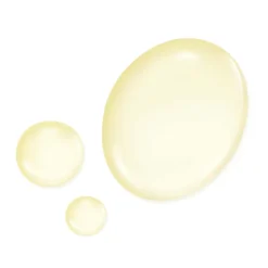 SENSAI Anti Aging·Anti-Aging|