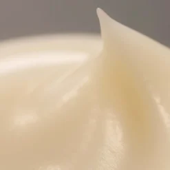 SENSAI Anti Aging·Anti-Aging|