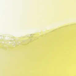 Shiseido Serum & Kur ·Serum|