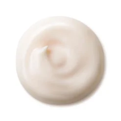 Shiseido Gesichtpflege·Tages & Nachtpflege|Anti Aging·Anti-Aging|