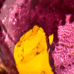 The House of Oud Düfte|